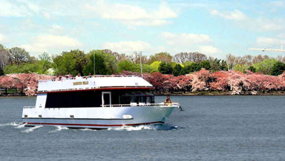 Whether you're single or in love, a boat tour is the perfect way to see the cherry blossoms.
