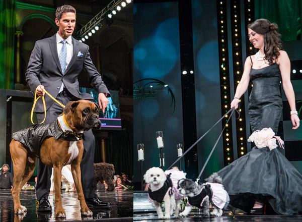 Models walk with their dogs down the runway.
