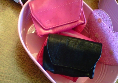 Clever Container's Card Caddy can help organize your credit cards, gift cards, receipts and coupons. (Photo by Clever Container)