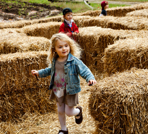 A straw bale maze is part of Mount Vernon's Fall Harvest Family Days. (Photo: Mount Vernon)