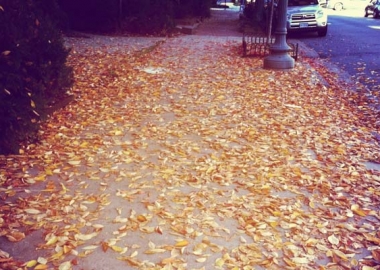 Fall is here (Kristy McCarron/DC on Heels)