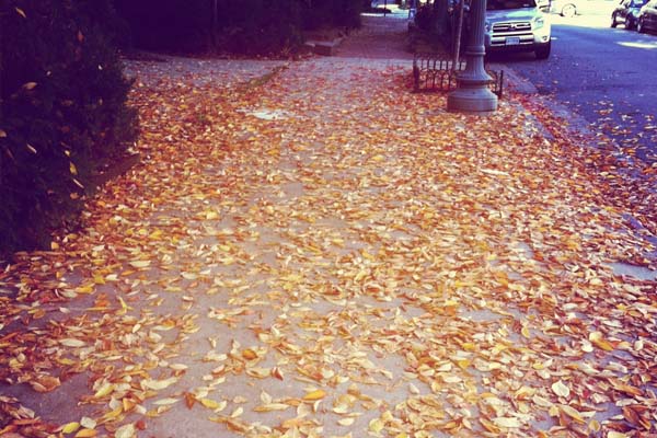 Fall is here (Kristy McCarron/DC on Heels)