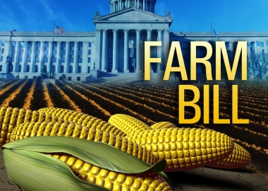 The Farm Bill was passed by the House on Wednesday and goes to the Senate next week. (Graphic: JBG)