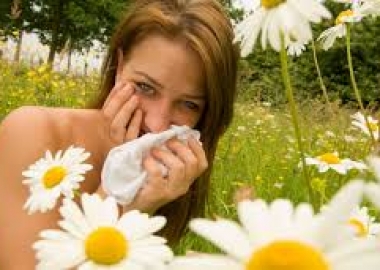 With spring comes seasonal allergies. (Photo: guardianlv.com)