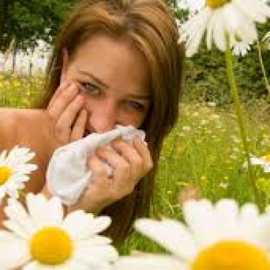 With spring comes seasonal allergies. (Photo: guardianlv.com)