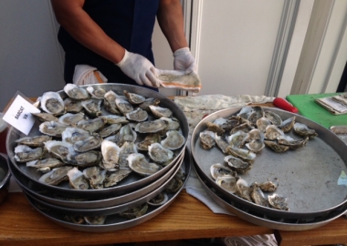 Oysters piled high at Hank’s Oyster Bar’s 7th annual oyster fest (Photo: Richard Barry/DC on Heels)