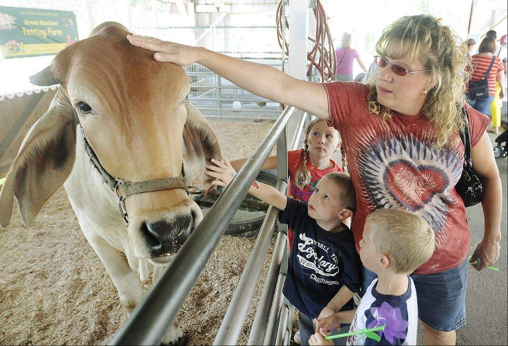The Montgomery County Agricultural Fair opens Friday in Gaithersburg. (Photo: Tom Fedor/The Gazette)