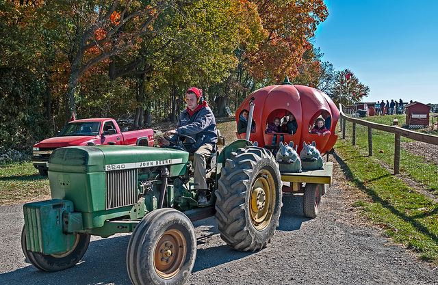 Visitors to Butler's Orchard's Pumpkin Festival can ride in a pumpkin carriage. (Photo: Alex Gladshtein/Flickr)