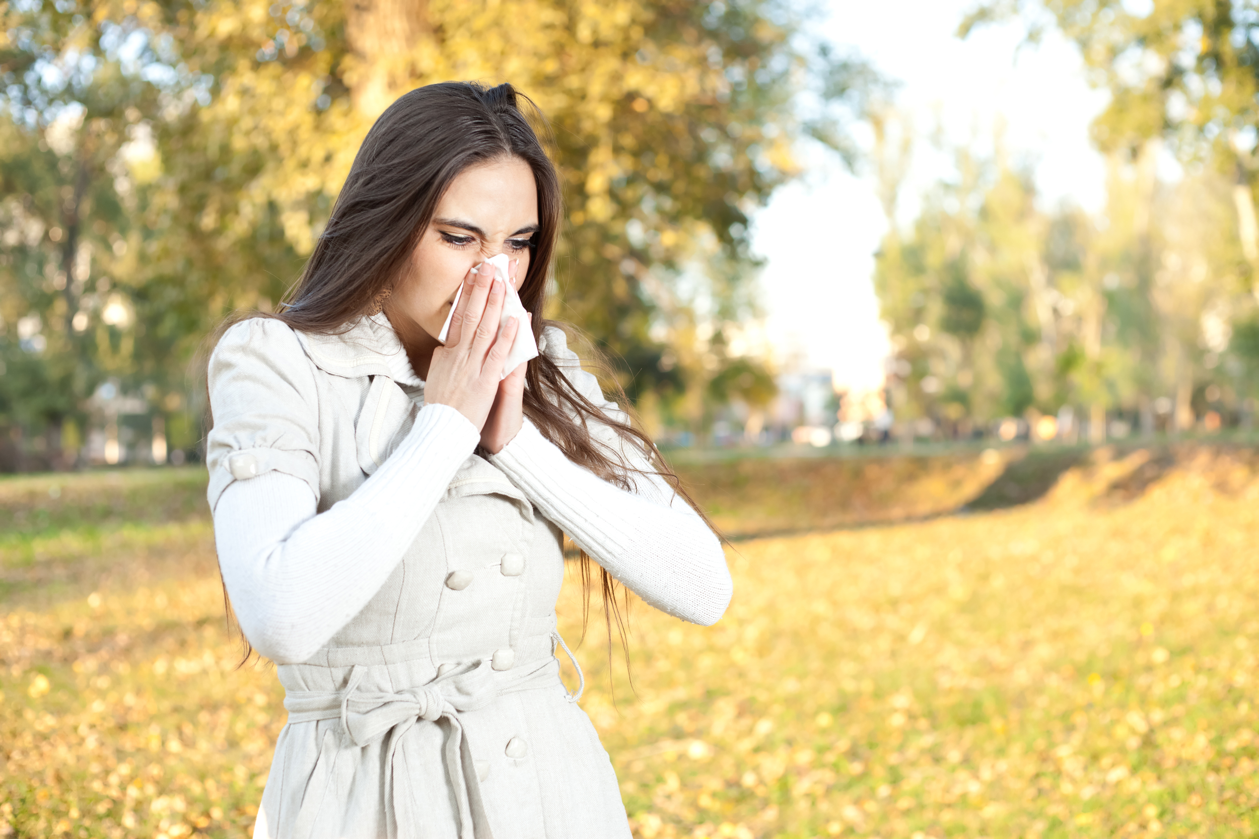 Ragweed, mold spores, dust mites and other bugs can cause fall allergies. (Photo: N.J. Allergy Doctors)