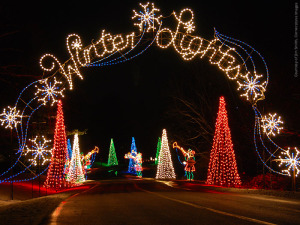 Gaithersburg's Winter Lights Festival is open nightly through New Year's Eve. (Photo: City of Gaithersburg)
