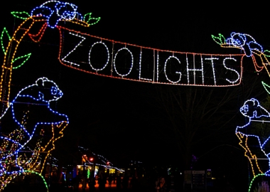 ZooLights is open nightly from 5-9 p.m. except Christmas Day. (Photo: National Zoo)
