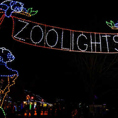 ZooLights is open nightly from 5-9 p.m. except Christmas Day. (Photo: National Zoo)
