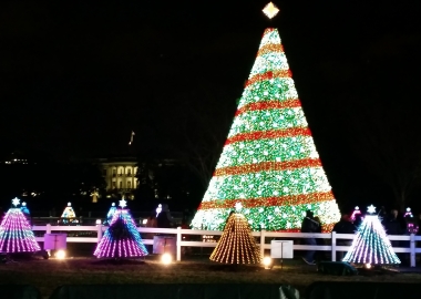The National Christmas Tree on the Ellipse is lit nightly through Jan . 1 until 10 p.m. (Photo: Mark Heckathorn/DC on Heels)