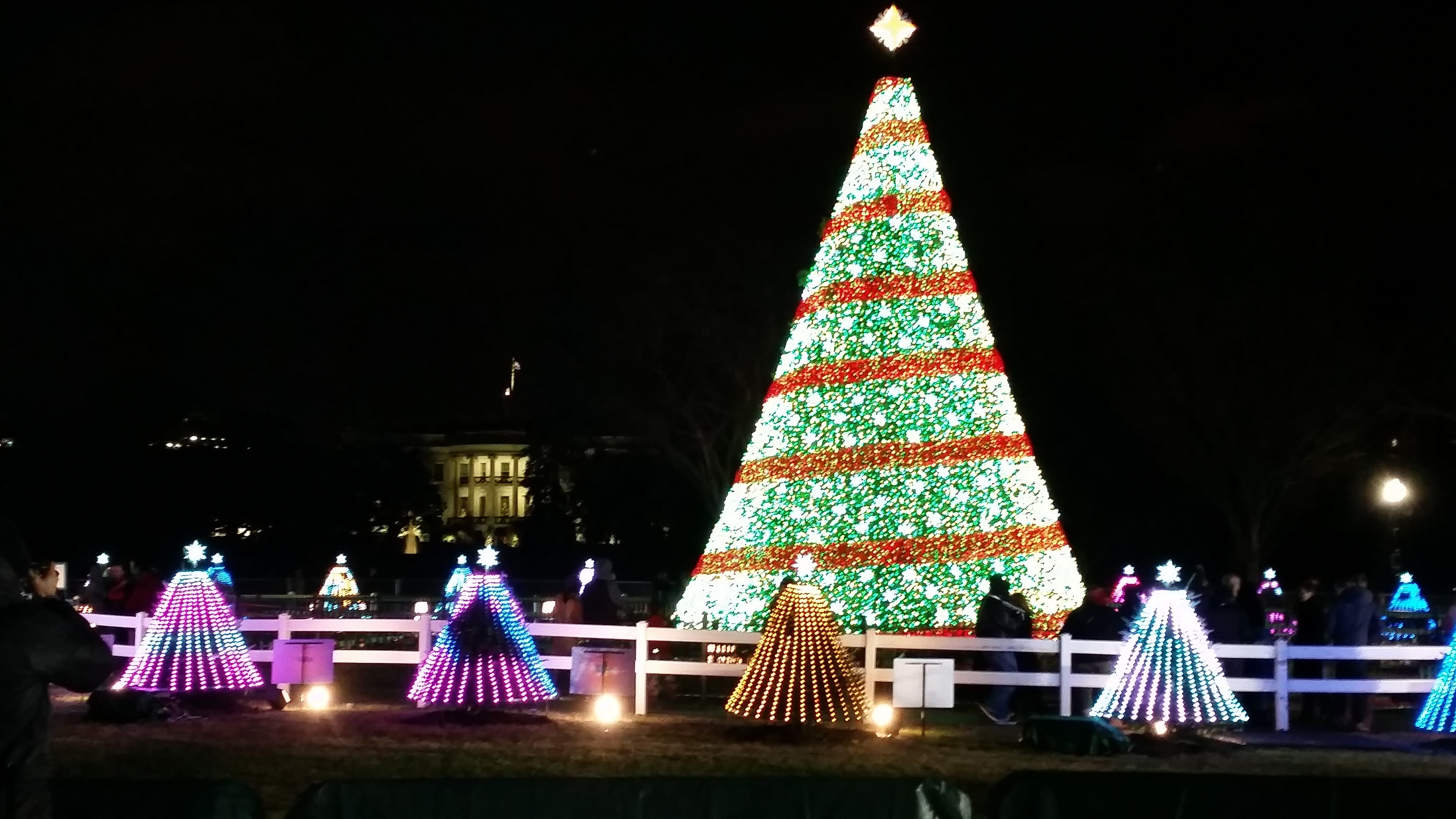 The National Christmas Tree on the Ellipse is lit nightly through Jan. 1 until 10 p.m. (Photo: Mark Heckathorn/DC on Heels)