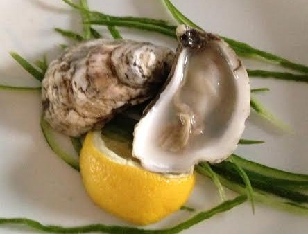 The Salty Wolfe, Hank's Oyster Bar's new oyster. (Photo: Hank's Oyster Bar)