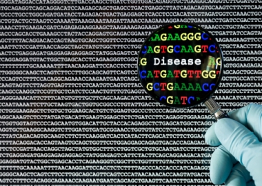 Genome sequencing could reveal rare and preventable diseases. (Photo: University of California San Francisco)