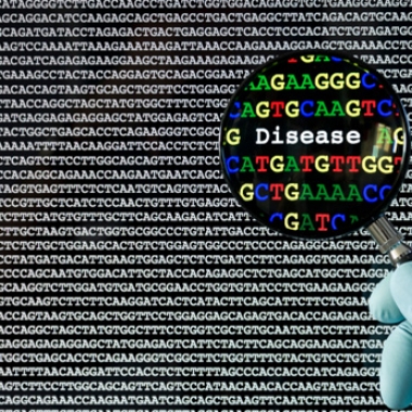 Genome sequencing could reveal rare and preventable diseases. (Photo: University of California San Francisco)
