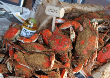 Policy will hold its fifth annual crab festival on May 24. (Photo: Love, Eat, Run)