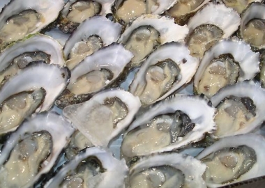 City Tap House will have a 