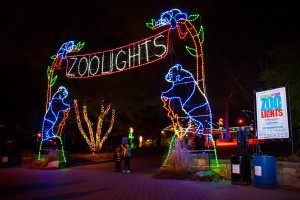 ZooLights decorates the National Zoo with more than 500,000 LED holiday lights. (Photo: National Zoo)ZooLights decorates the National Zoo with more than 500,000 LED holiday lights. (Photo: National Zoo)