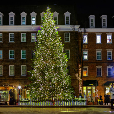 The City of Alexandria will light its Christmas tree at 6 p.m. on Friday. (Photo: Kids Will Travel Guide)