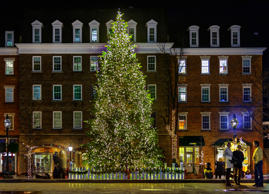 The City of Alexandria will light its Christmas tree at 6 p.m. on Friday. (Photo: Kids Will Travel Guide)