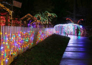 Over a million lights decorate Brookside Gardens in Wheaton. (Photo: Montgomery Parks)
