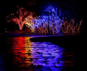 Over a million lights decorate Brookside Gardens in Wheaton. (Photo: Montgomery Parks)