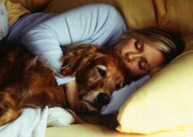 Doctors say it is safe to cuddle with your pet when you're sick if it makes you feel better. Pet's can't catch human diseases or transmit anything to you. (Photo: Thinkstock)