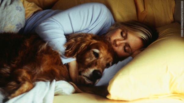 Doctors say it is safe to cuddle with your pet when you're sick if it makes you feel better. Pet's can't catch human diseases or transmit anything to you. (Photo: Thinkstock)