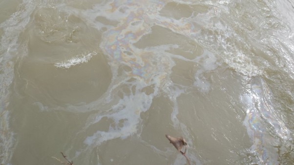 Mineral oil floats on the Potomac River following a 13,500-gallon spill at a Virginia Dominion Power substation in Crystal City in late January. (Photo: Potomac River Keepers)
