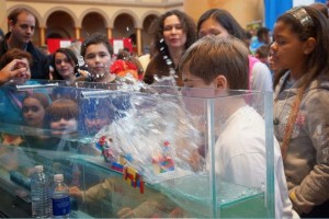 Visitors to the Discover Engineering Family Day lear about tsunamis and tsunami mitigation. (Photo: Network of Earthquake Engineering Simulation)