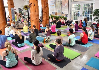 Practice yoga among the plants at the U.S. Botanical Gardens (Photo: WithLoveDC)