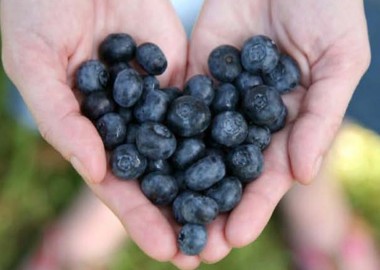 Blueberries help lower the risk of heart disease and cancer, now researchers think they may help prevent Altzheimer's disease as well. (Photo: Shutterstock)