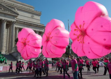 The National Cherry Blossom Festival Parade will fill Constitution Avenue from the National Archives to the Washington Monument from 10 a.m.-noon on Saturday. (Photo: National Cherry Blossom Festival)