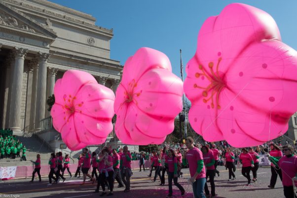 The National Cherry Blossom Festival Parade will fill Constitution Avenue from the National Archives to the Washington Monument from 10 a.m.-noon on Saturday. (Photo: National Cherry Blossom Festival)