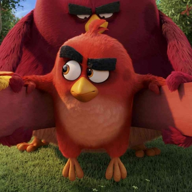 Red (Jason Sudeikis) in the slingshot with Chuck (Josh Gad), Terence and Bomb (Danny McBride) looking on. (Photo: Rovio Animation)