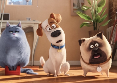 The Secret Life of Pets debuted in first place over the weekend with $104.35 million. (Photo: Universal Pictures)