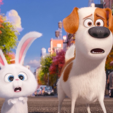 The Secret Life of Pets held onto the top spot at the box office last weekend with $50.83 million, edging out the anticipated all-female Ghostbusters remake. (Photo: Universal Pictures)