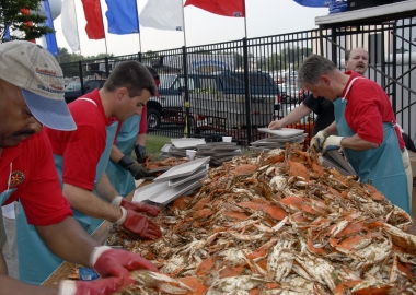 The Rotary Club of Annapolis plans to serve 350 bushels of No. 1 male crabs at its crab feast Friday. (Photo: Four Claws Reviews)
