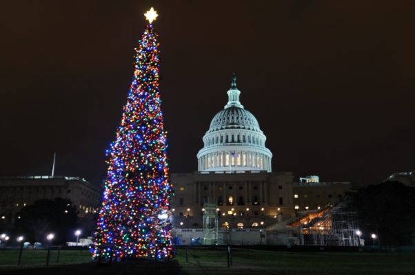 This year's U.S. Capitol Christmas Tree is an 80-foot Engelmann spruce from Idaho decorated with more than 6,000 handmade ornaments. (Photo: Capitol Christmas Tree)