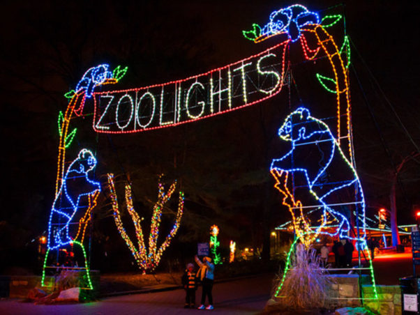 ZooLights returns to the National Zoo with more tnan 500,000 LED lights. (Photo: Smithsonian National Zoo)