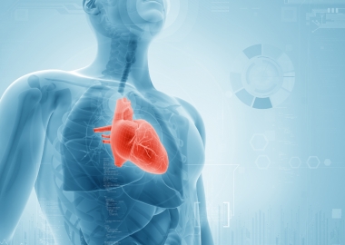 While heart transplants are optimal, only 2,500 are done each year on the more than 100,000 people with hear failure annually. (Image: Thinkstock)