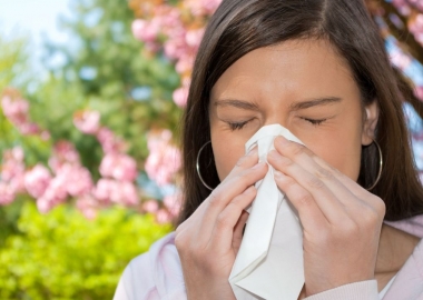 Tree pollen and mold are the primary allergens during the springtime 