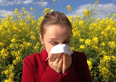 Doctors say February's warm spell and March's cold snap could mean tree and grass allergies overlap in May. (Photo: cenczi/Pixabay)