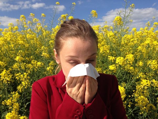 Doctors say February's warm spell and March's cold snap could mean tree and grass allergies overlap in May. (Photo: cenczi/Pixabay)