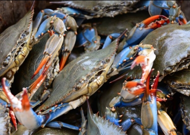 The blue crab popluation in the Chesapeake Bay is down 18 percent this year according to the state's dredge report. (Photo: Ivy City Smokehouse/Facebook)
