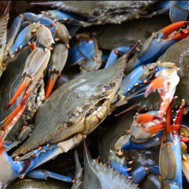 The blue crab popluation in the Chesapeake Bay is down 18 percent this year according to the state's dredge report. (Photo: Ivy City Smokehouse/Facebook)