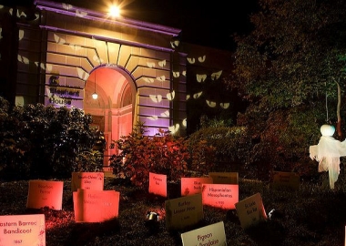 Boo at the Zoo is open nightly from 5:30-8:30 p.m. (Photo: Mehgan Murphy/National Zoo)