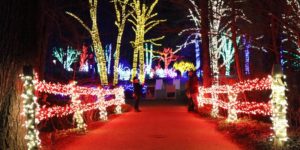 Because of the cold, Meadowlark's Winter Walk of Lights will be closed Friday and Saturday, but reopen Sunday for its final night. (Photo: Nova Parks)